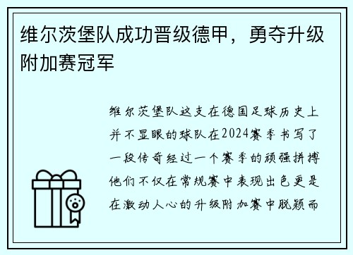 维尔茨堡队成功晋级德甲，勇夺升级附加赛冠军