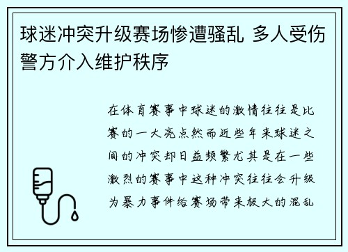 球迷冲突升级赛场惨遭骚乱 多人受伤警方介入维护秩序